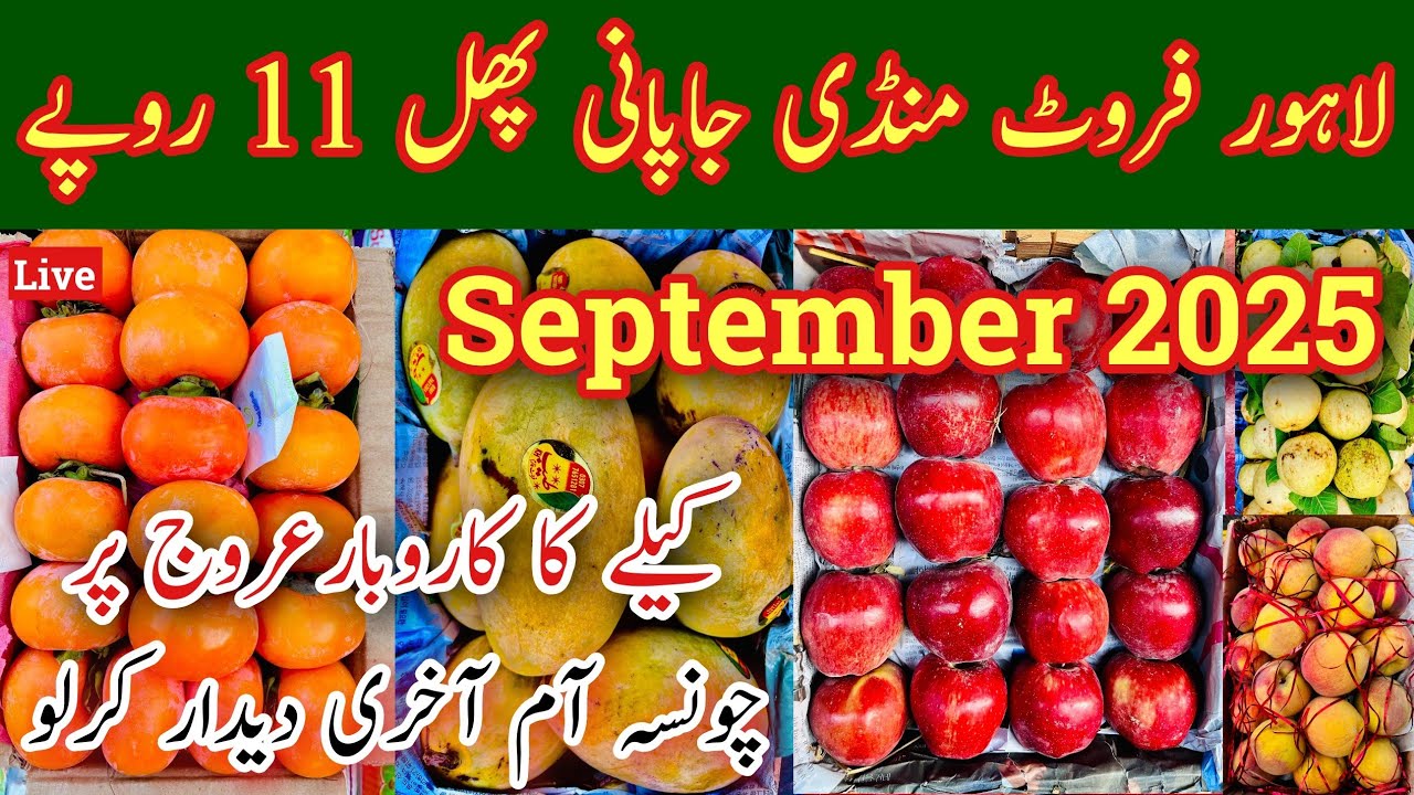Lahore Fruit Mandi Business, Japani Phal In Pakistan, Lahore Fruit Mandi Rates Today, Mr Phirtu 