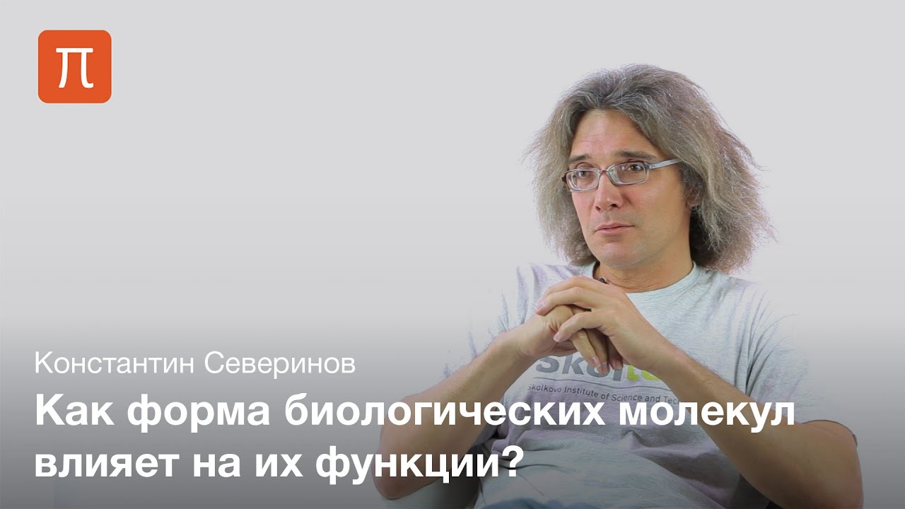 Взаимодействие макромолекул — Константин Северинов