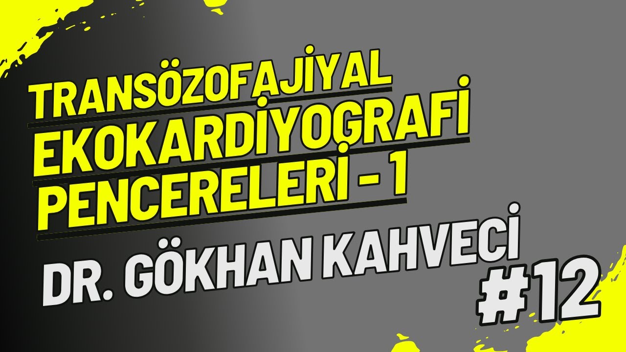 2D Standart Transözofajiyal Ekokardiyografi Pencereleri