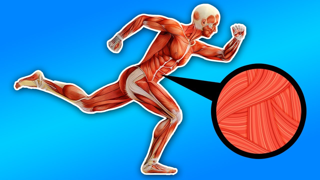10 Things That Change in Your Body When You Run Every Day