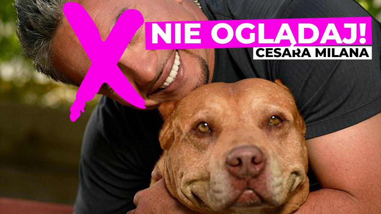Dlaczego NIE POWINIENEŚ oglądać Cesara Milana?