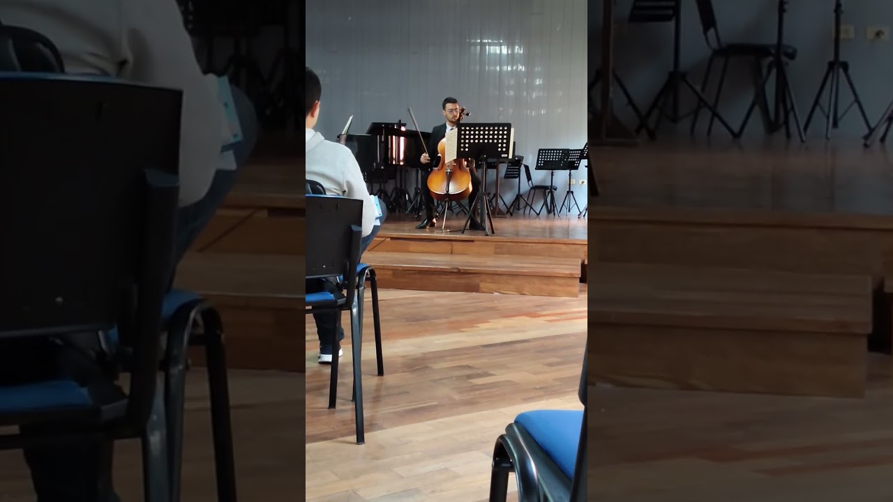 Sonata N.2 en G minor - L. Beethoven