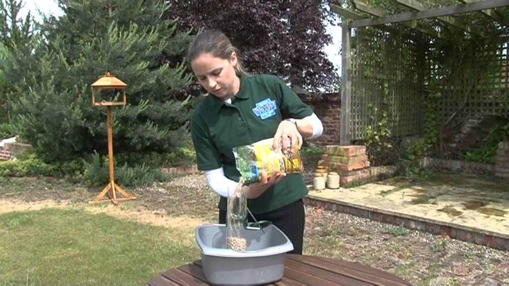 Nature's Feast Wild Bird Feeding Guide