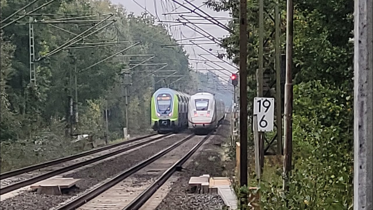 Züge in  Prisdorf /Trains in Prisdorf