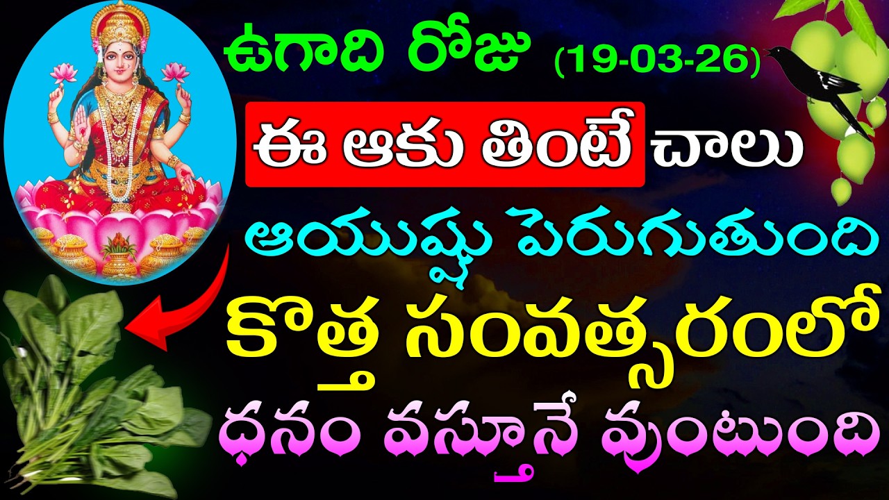 ఉగాది రోజు ఈ ఆకు తింటే చాలు ఆయుష్షు పెరుగుతుంది కొత్త సంవత్సరంలో ధనం వస్తూనే వుంటుంది