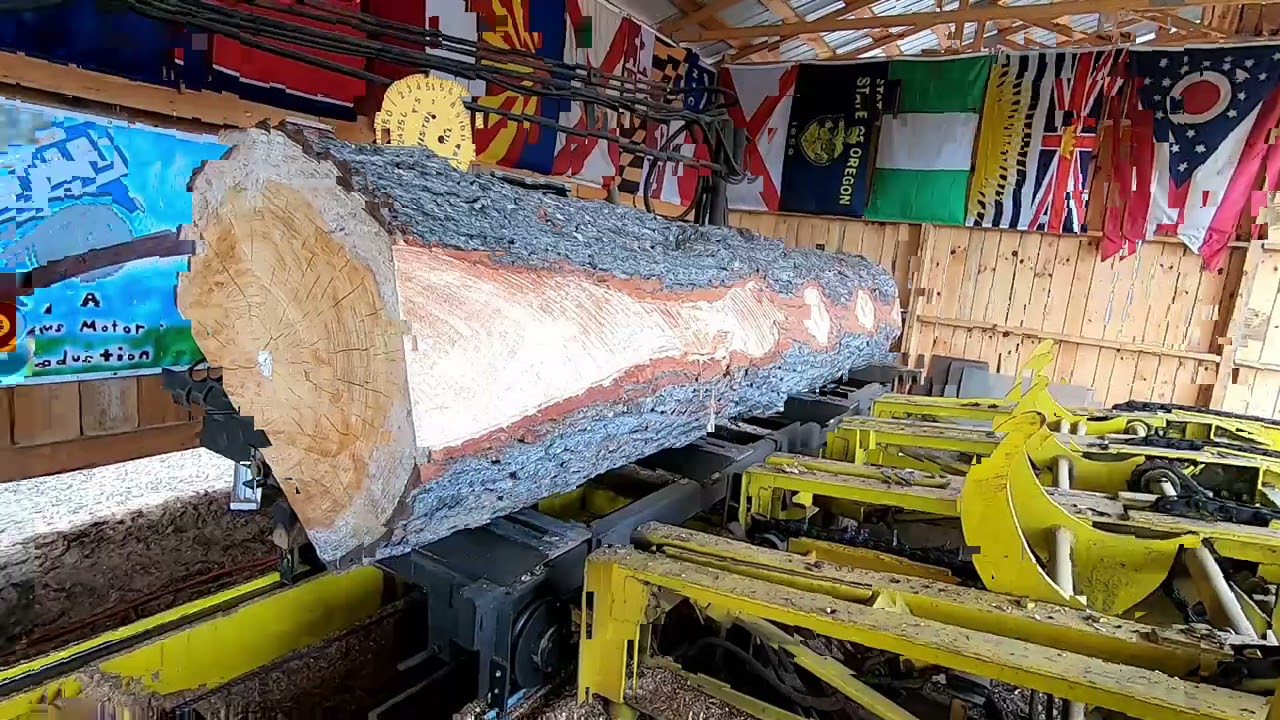 sawing a huge pine & thank you 40 K #192