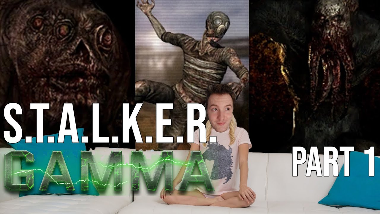 So I've never played a S.T.A.L.K.E.R. game...