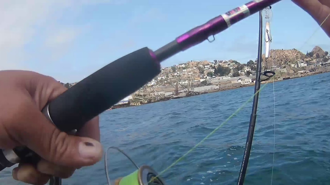 Pesca de palometas en Bahía de coquimbo