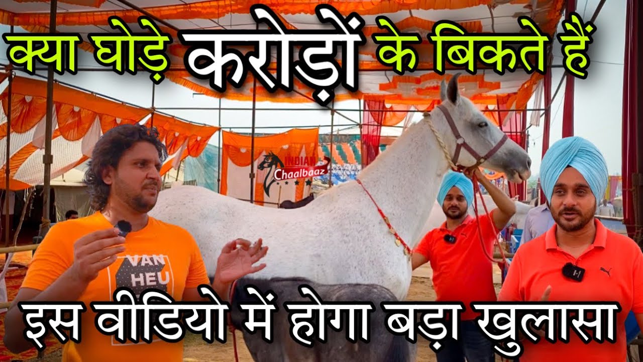 क्या घोड़े करोड़ों के बिकते हैं गुरुदेव भाई के साथ धुआँधार इंटरव्यू 9781990406(Amritsar Mela 2022)