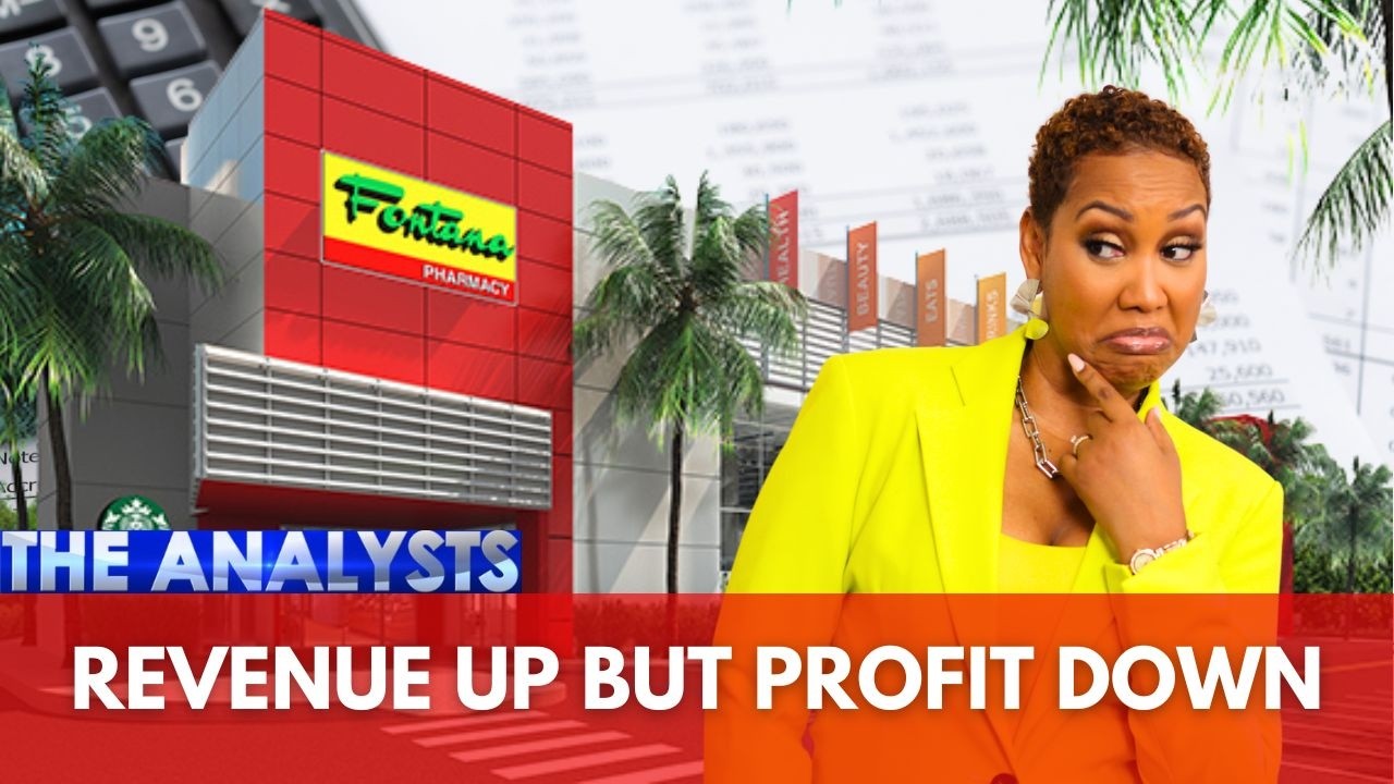 The Analysts - Why Did Fontana's Profit Fall?