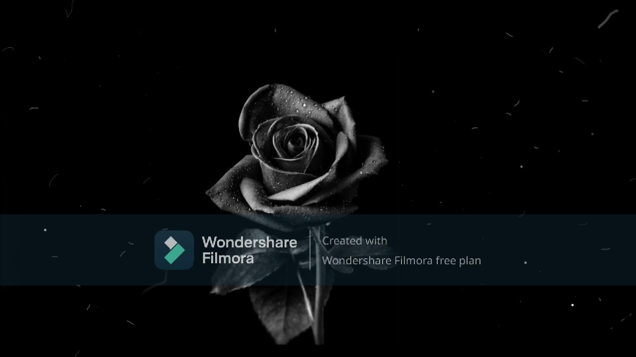 KARUPU ROJA || Official Music Video || Hamsty Production || Hamsty_boii