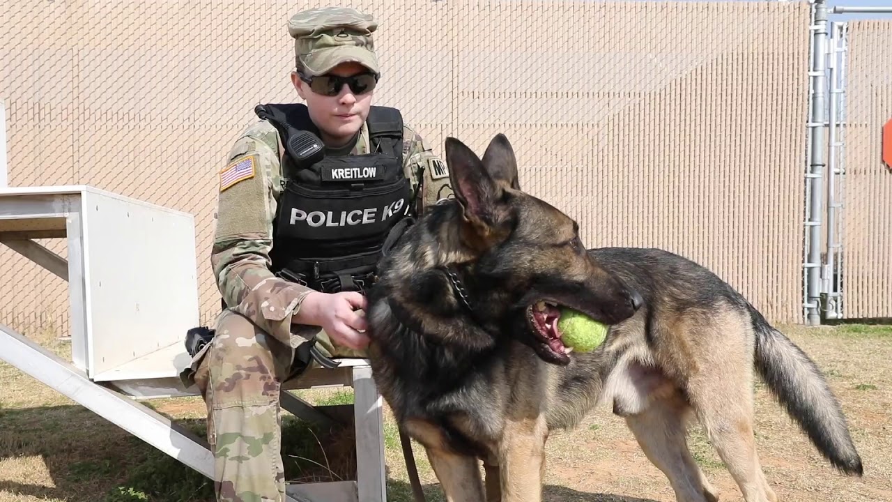 A Soldiers Best Friend During the Stop Move Directive