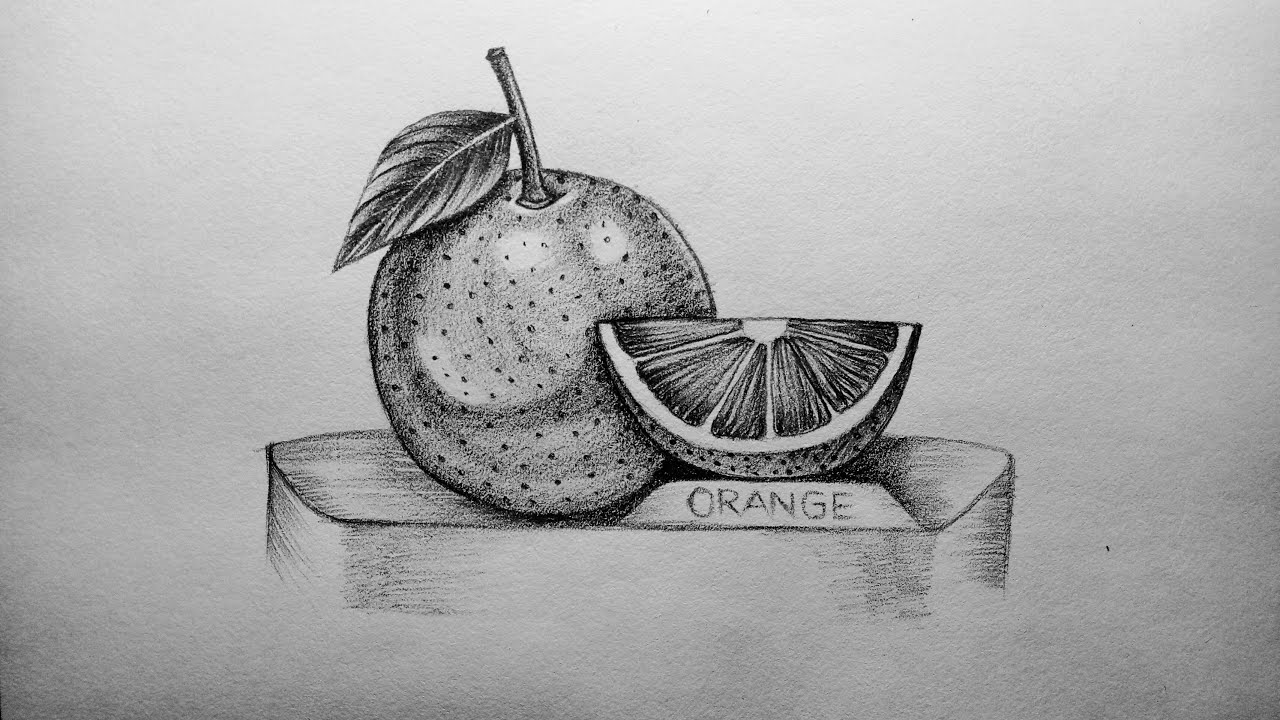 How to Draw Orange easy and step by step or shading for beginners