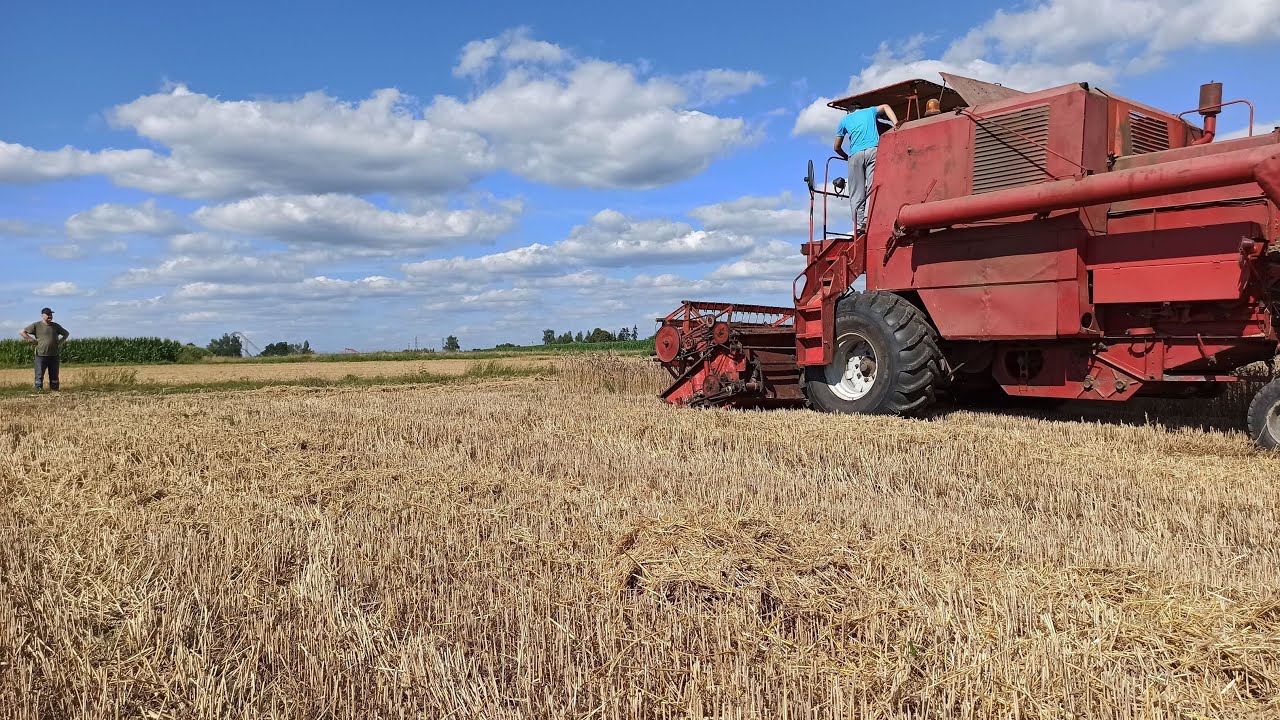 🌾Żniwa 2O2O 🌾 BIZON Z050 🌾 URSUS C-355 🌾 URSUS C-355M 🌾 Zator 🌾