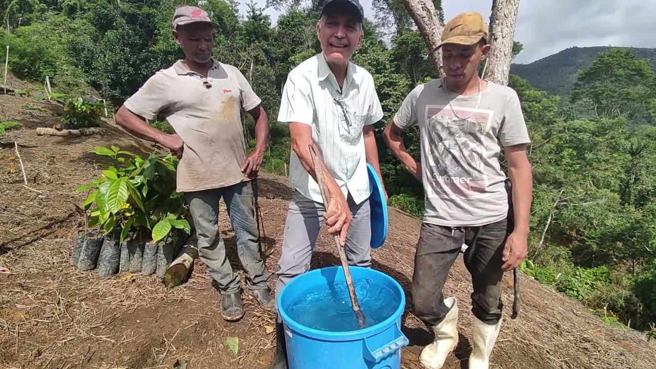 Uso de Gel no Plantio de Mudas de Cacau