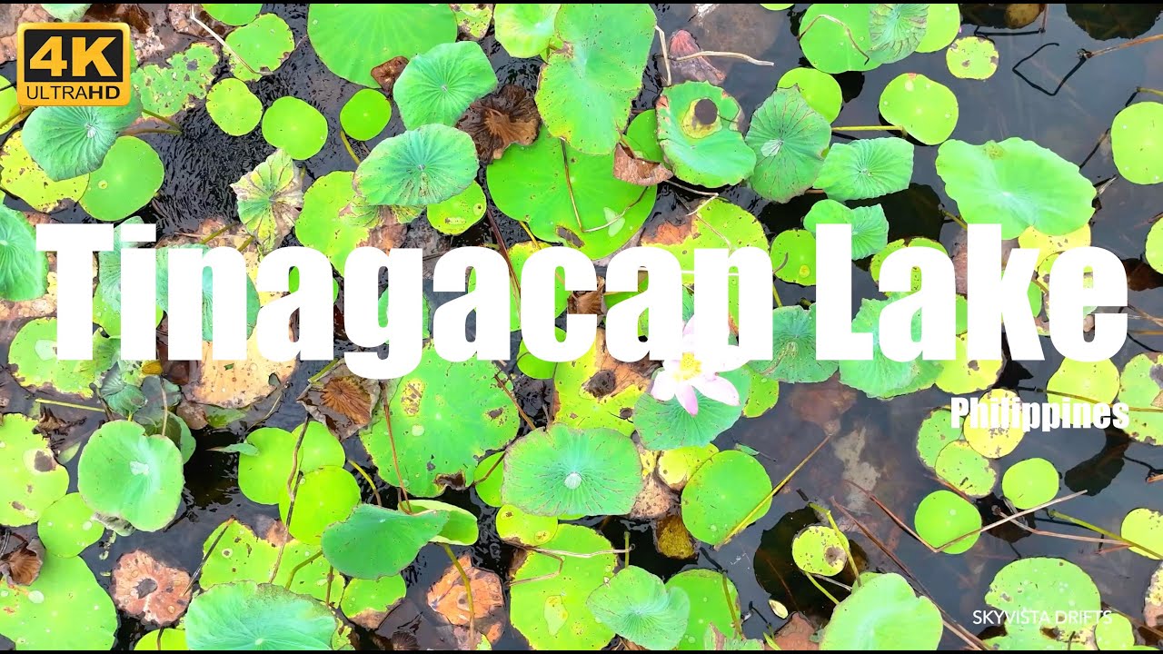 Tinagacan Lake - Philippines - 4K UHD