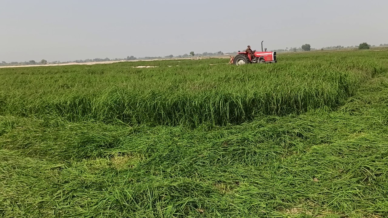 Road grass cutting Dex moor machine