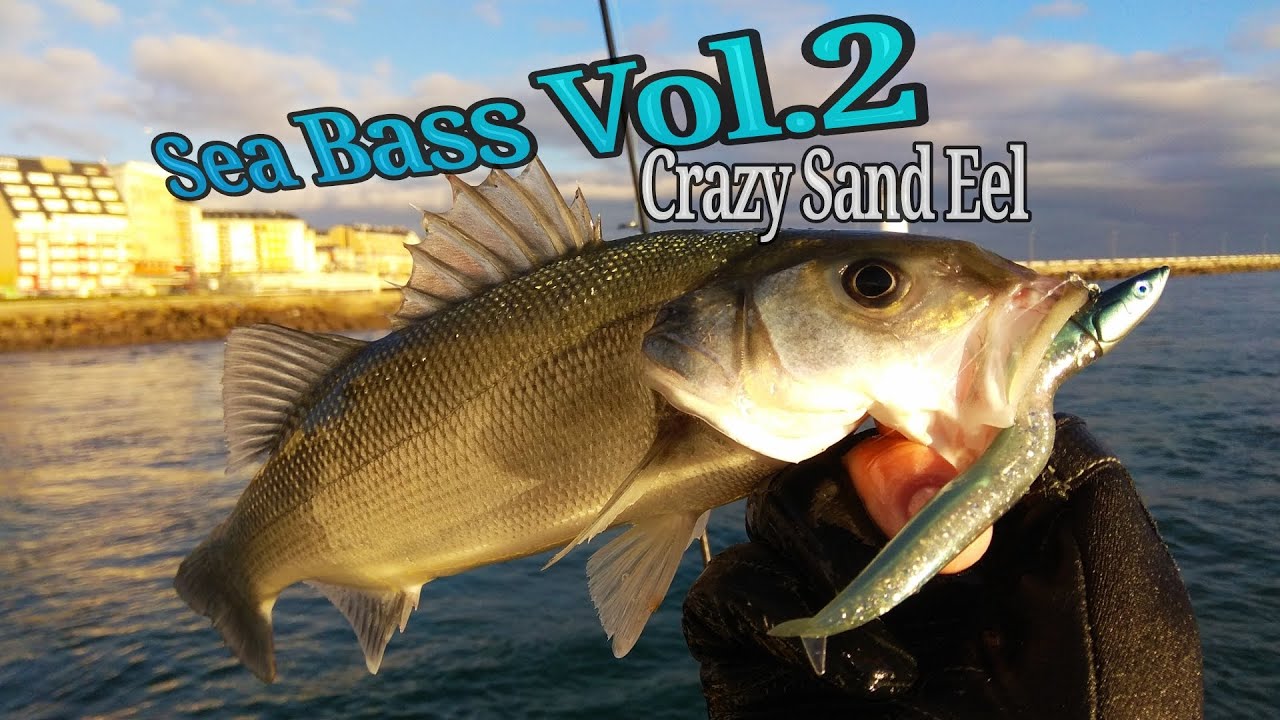 🔴PESCAR LUBINAS vol.2 (Fiiish Crazy Sand Eel) con vinilos desde embarcación.
