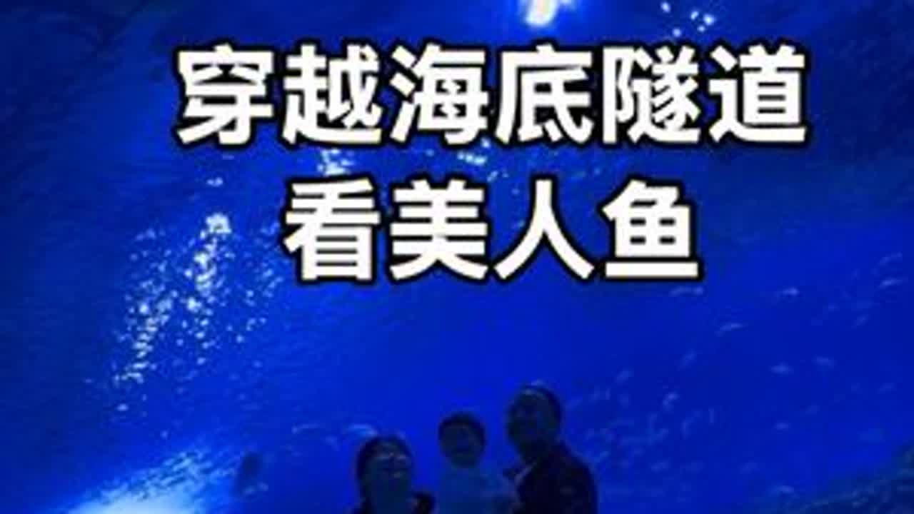 陪伴是最好的礼物#海洋馆 #纪录美好生活 #亲子 #海底隧道