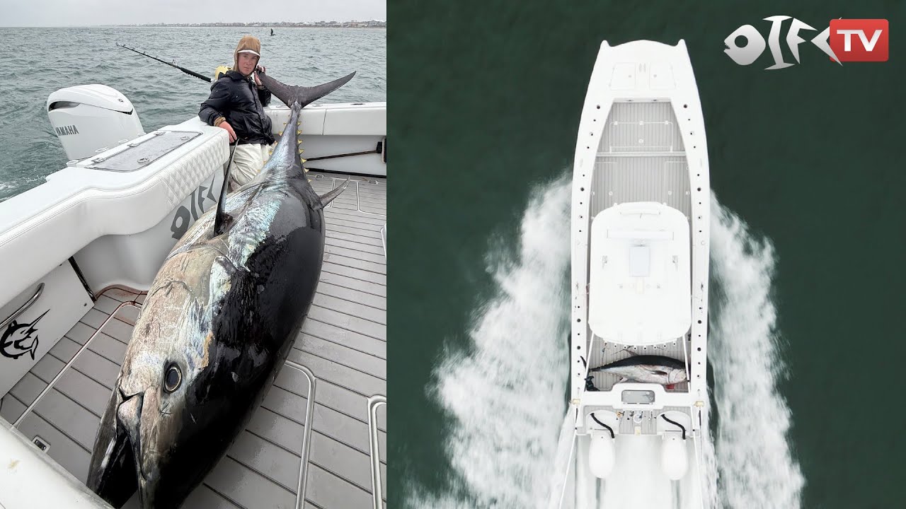 Catching a GIANT Bluefin Tuna on the New 29 Freeman
