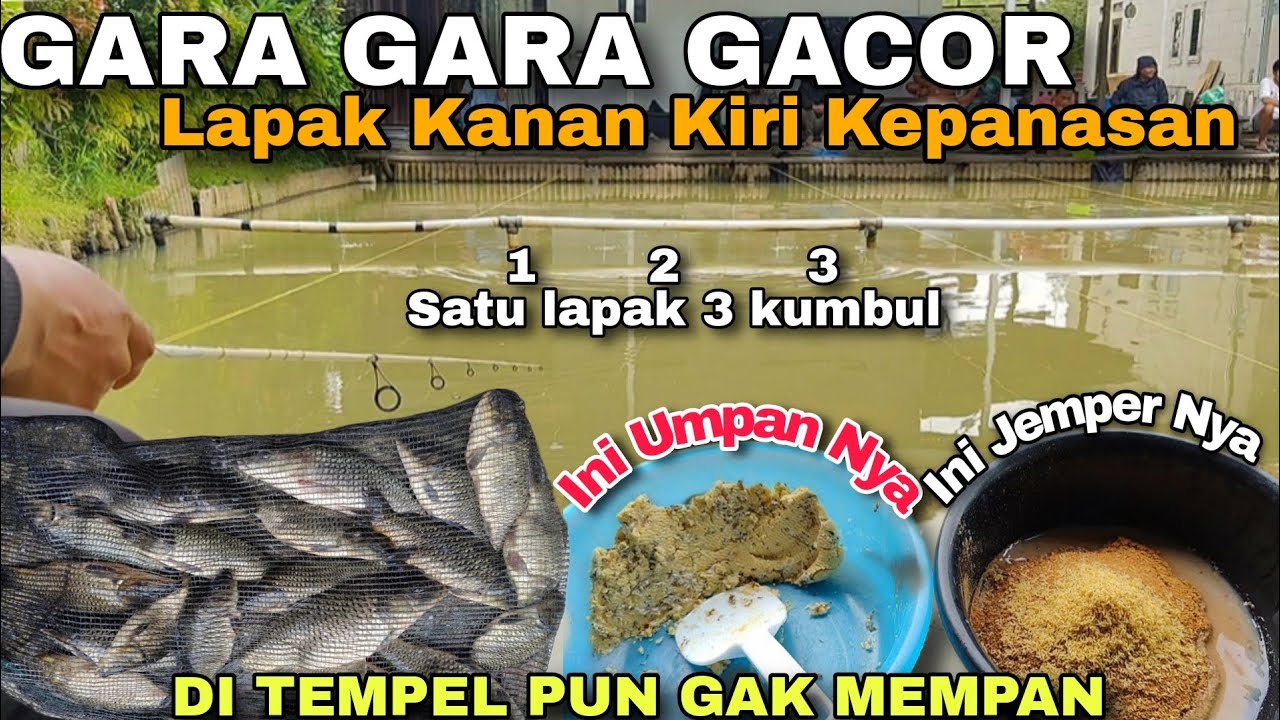 Nyesel Pakai Umpan Gacor Malah Bayak Yang Nempel.. Untung Gak Pada Mempan // Mancing Harian Ikan Mas