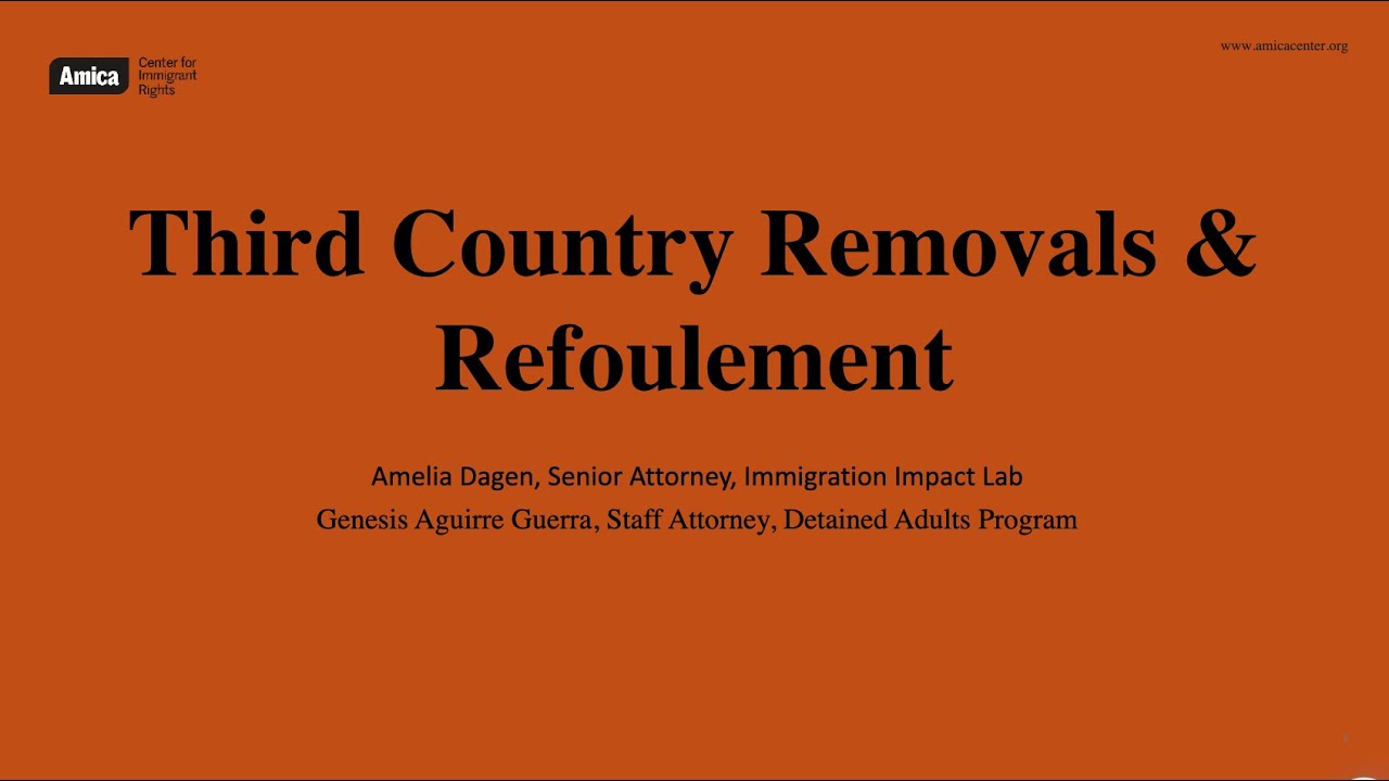 Third-Country Removals & Refoulement