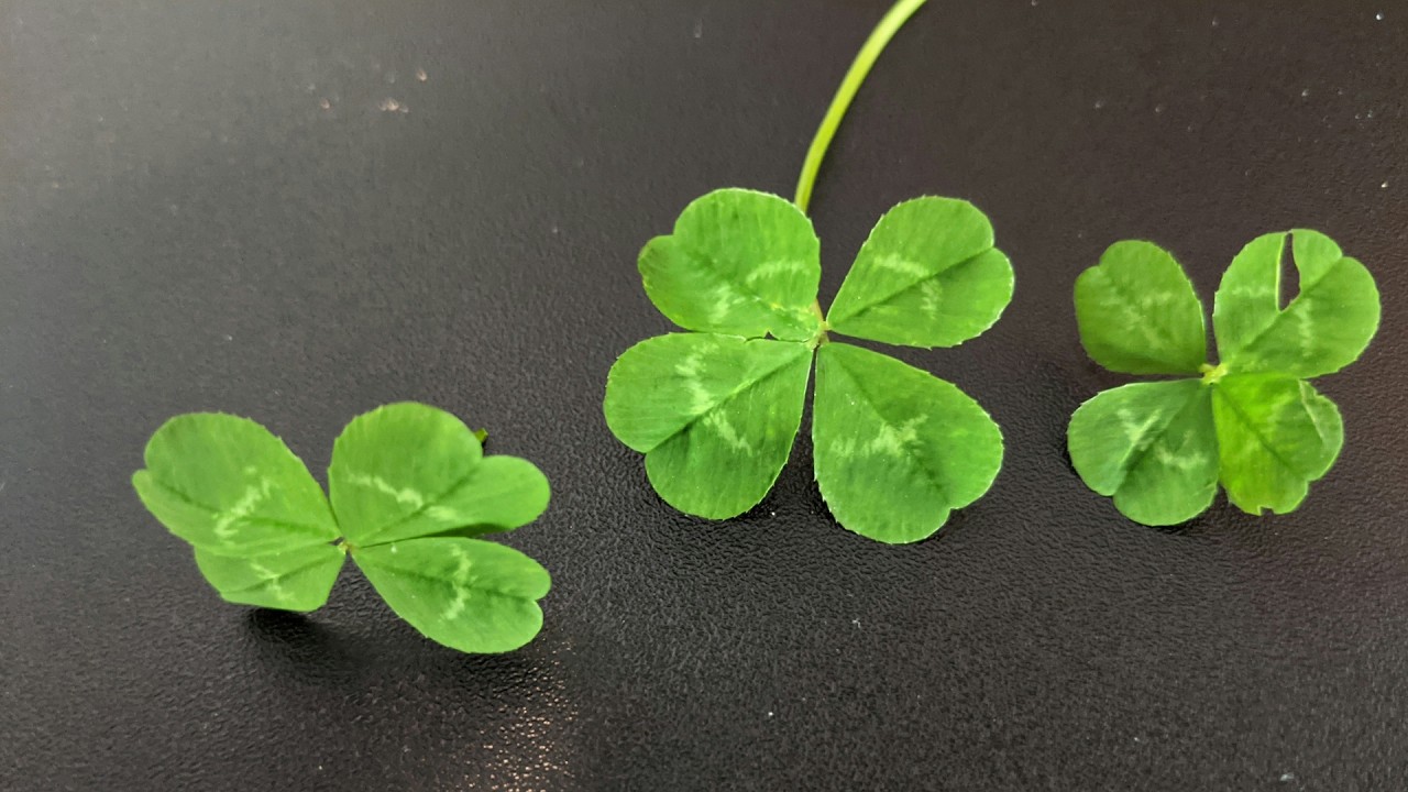 [quiet sub]✨Supernatural LUCK✨1Billion Money Affirmation Subliminal (no mid-roll ads)