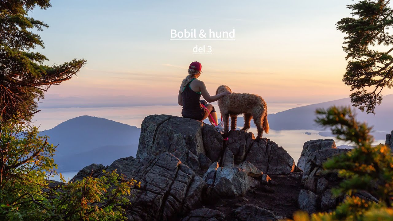 Bobil og hund del 3