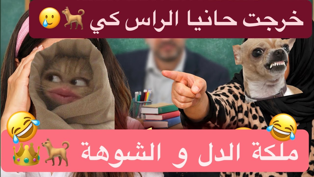 ملي جرات عليا مرت المدير حيت غارت مني 🥲 ملكة الدل 🐕🐕 #قصص_مغربية_واقعية #اكسبلور #قصص_زينب 