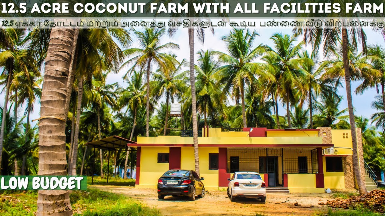 12.5 Acre Coconut Farm with Fully Furnished House for sale @ Oddanchatram |12 .5 ஏக்கர் தோட்டம் விற்