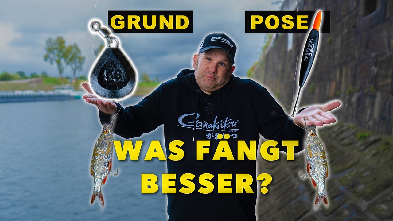 Grund- oder Posenmontage? Raubfischangeln mit Köderfisch im Hafen 🎣