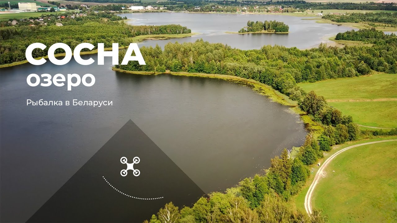 Озеро Сосна (Должа, Витебский район)