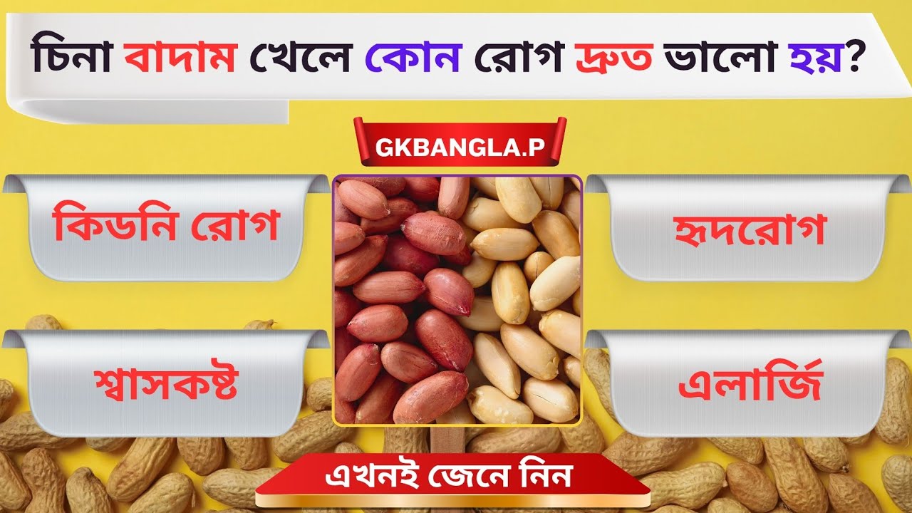 চিনা বাদাম খেলে কোন রোেগ দ্রুত ভালো হয়? Quiz | Bangla Quiz | General Knowledge | Gk Quiz Bangla