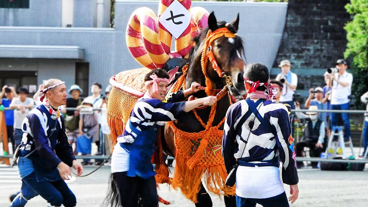 勇壮な馬追いを披露。藤崎八幡宮例大祭・神幸行列「朝随兵」。A brave horse chase is performed at the Shinto festival.