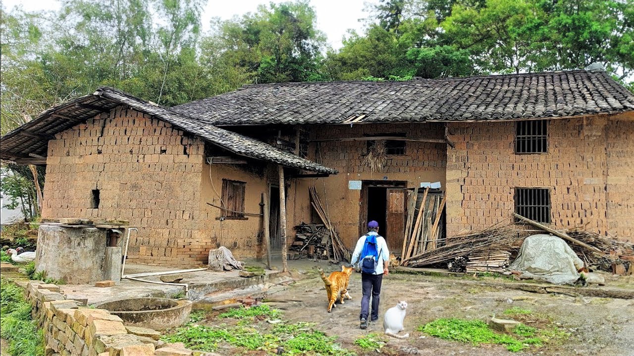 Genius Boy Secretly Renovates Mother's Old House to Perfection, Surprising Her ~ Start to Finish