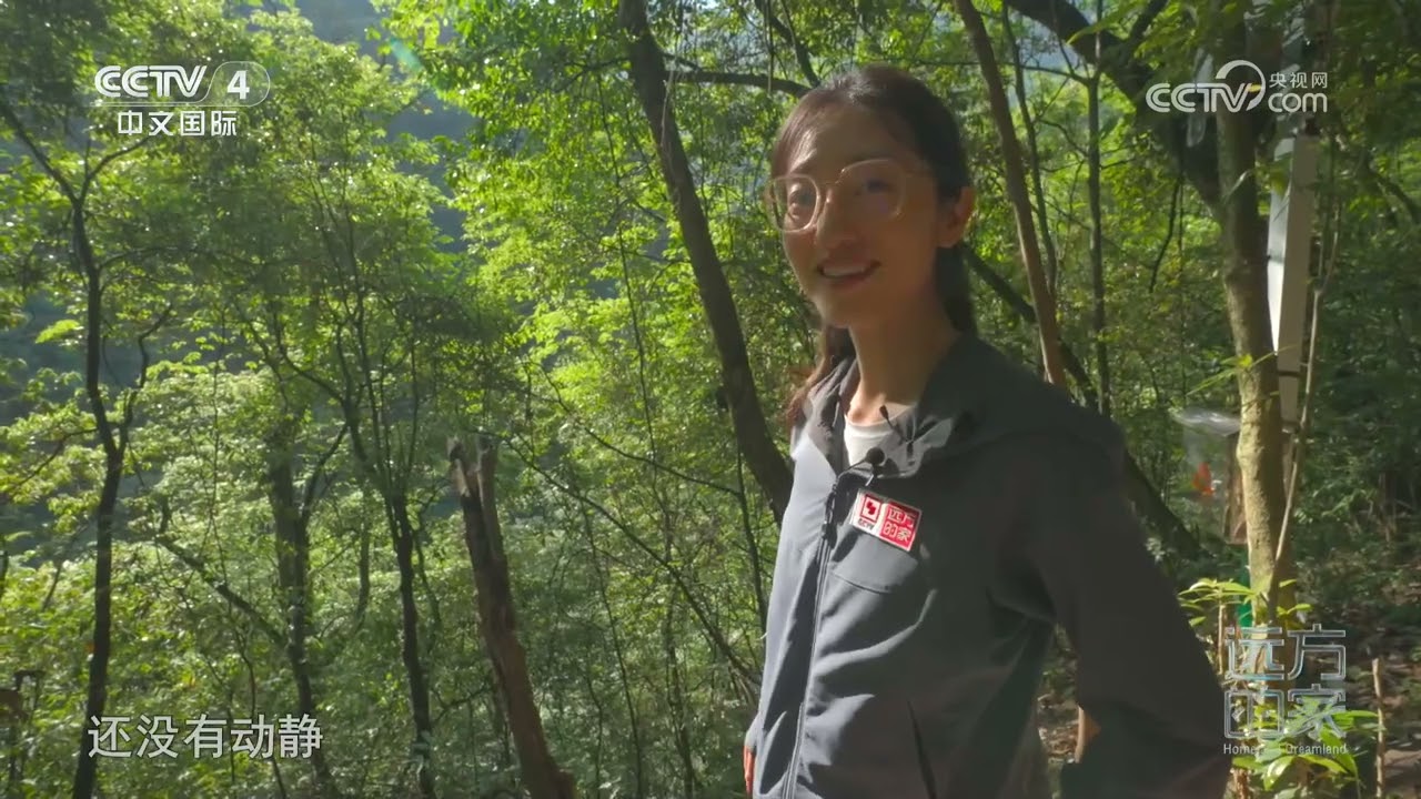 [远方的家]山河锦绣看中国——跃动山海 和谐家园 解读后河生灵繁盛的地质密码 | 中华地图