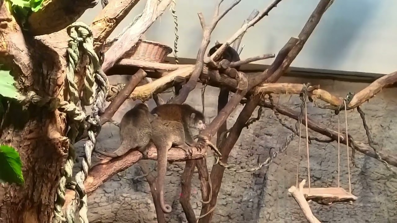 Tierpark Berlin - Europas gr&ouml;&szlig;ter Tierpark