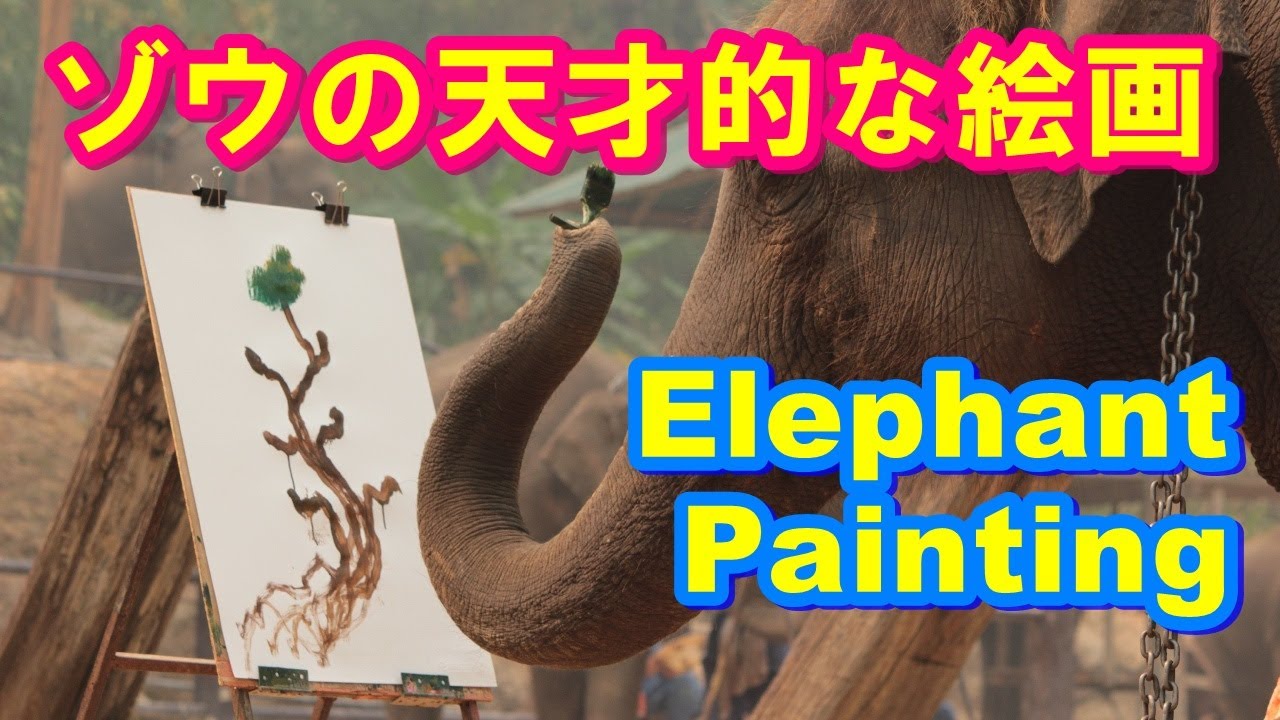 Elephants' Painting at Mea Sa Elephant Camp, Chiang Mai, Thailand - 【タイ】ゾウの天才的な絵画