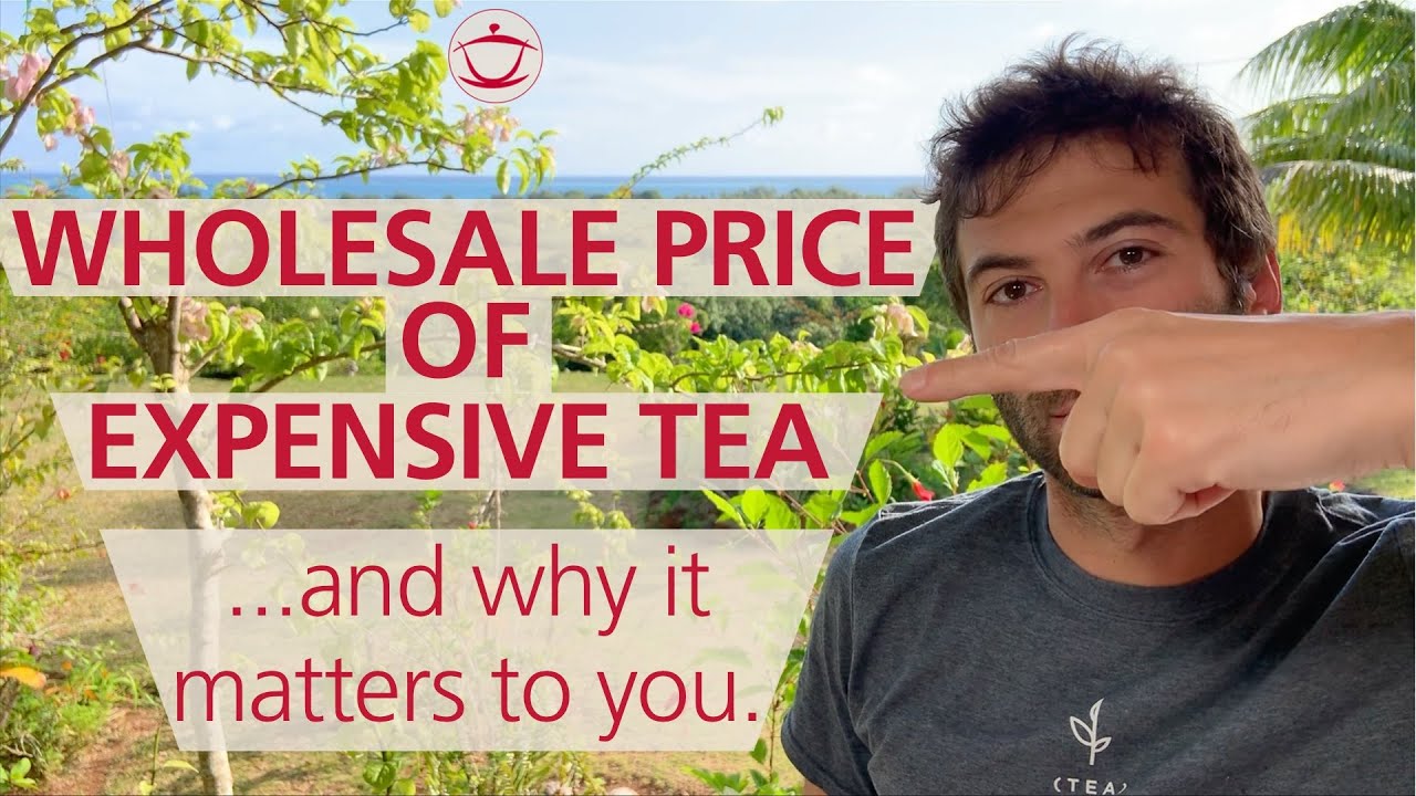 Tea Expert Explains the Wholesale Price of Expensive Tea