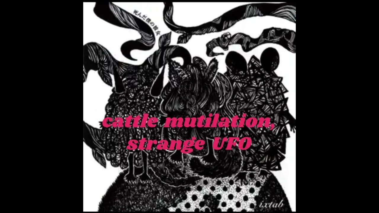My dead girlfriend - Cattle mutilation, strange U.F.O. [가사]