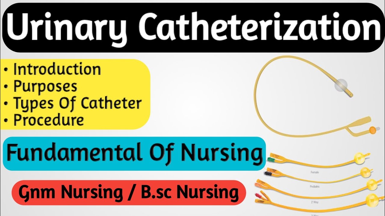 Catheterization Procedure Nurses Lecture
