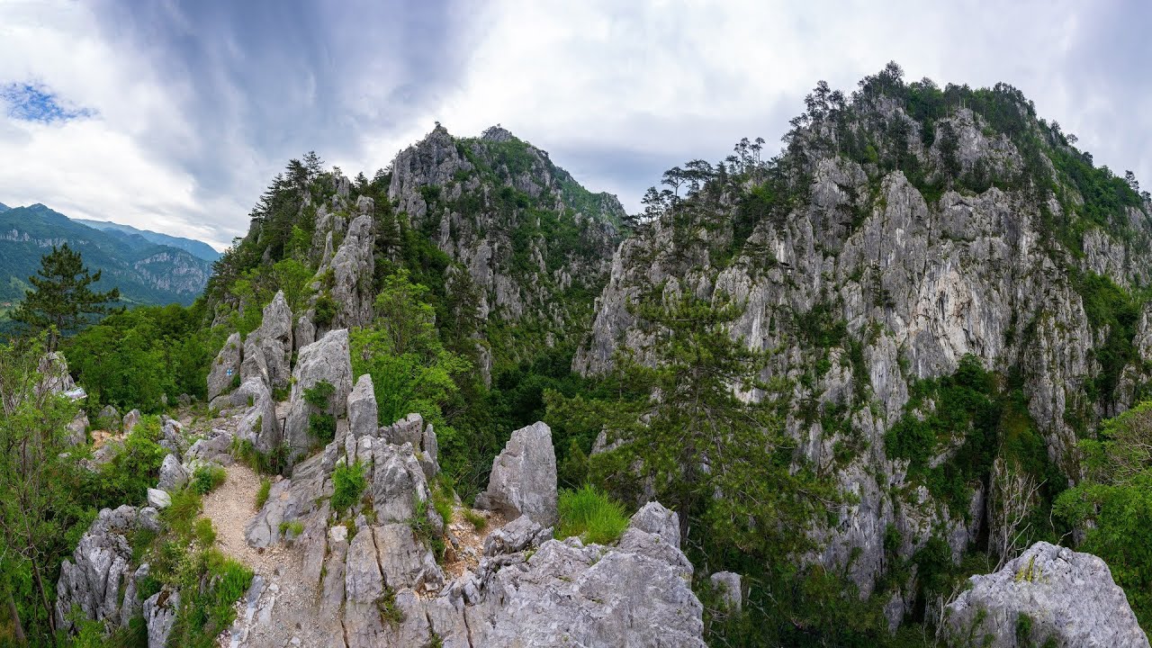 Traseu Cheile Tasnei, Moara Dracilor si serpii lui Esculap