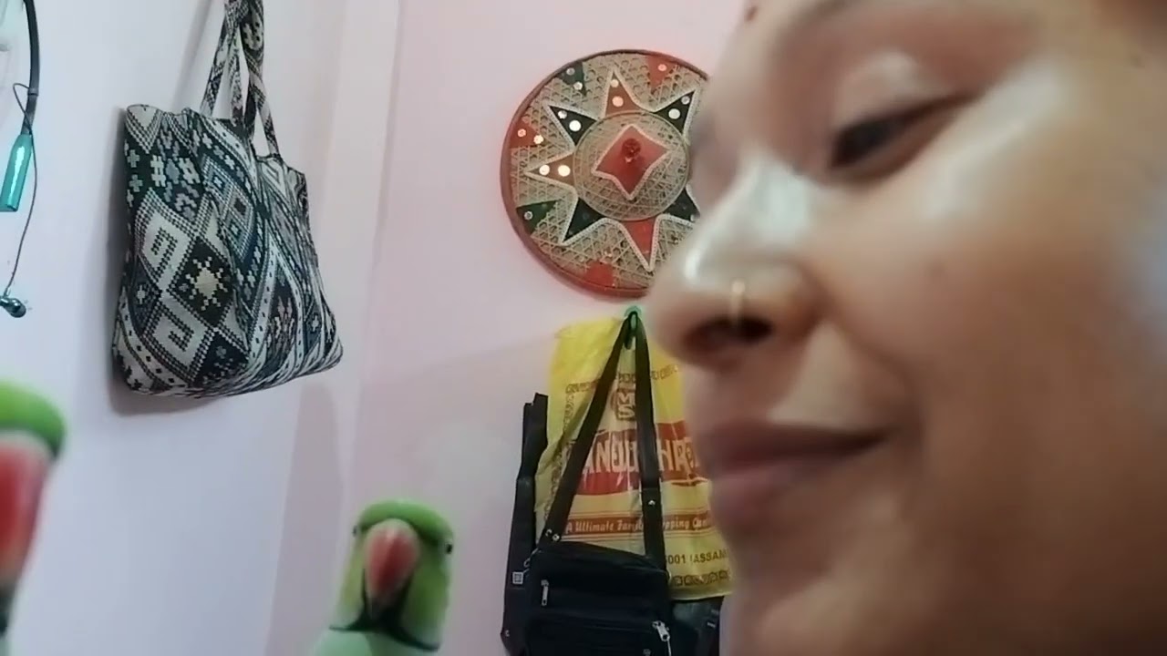 মিঠুর নতুন একটা খেলা শিখছে দেখো 🤭🦜@Angrymithimistufamily #bengalivlog #subscribe #myyoutubechannel 