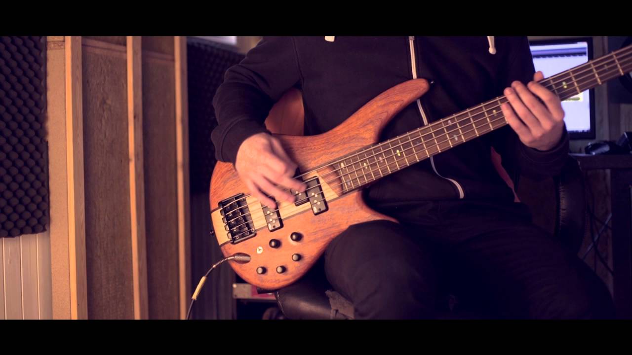 Within Destruction - An Unforeseeable Anomaly - Bass Playthrough