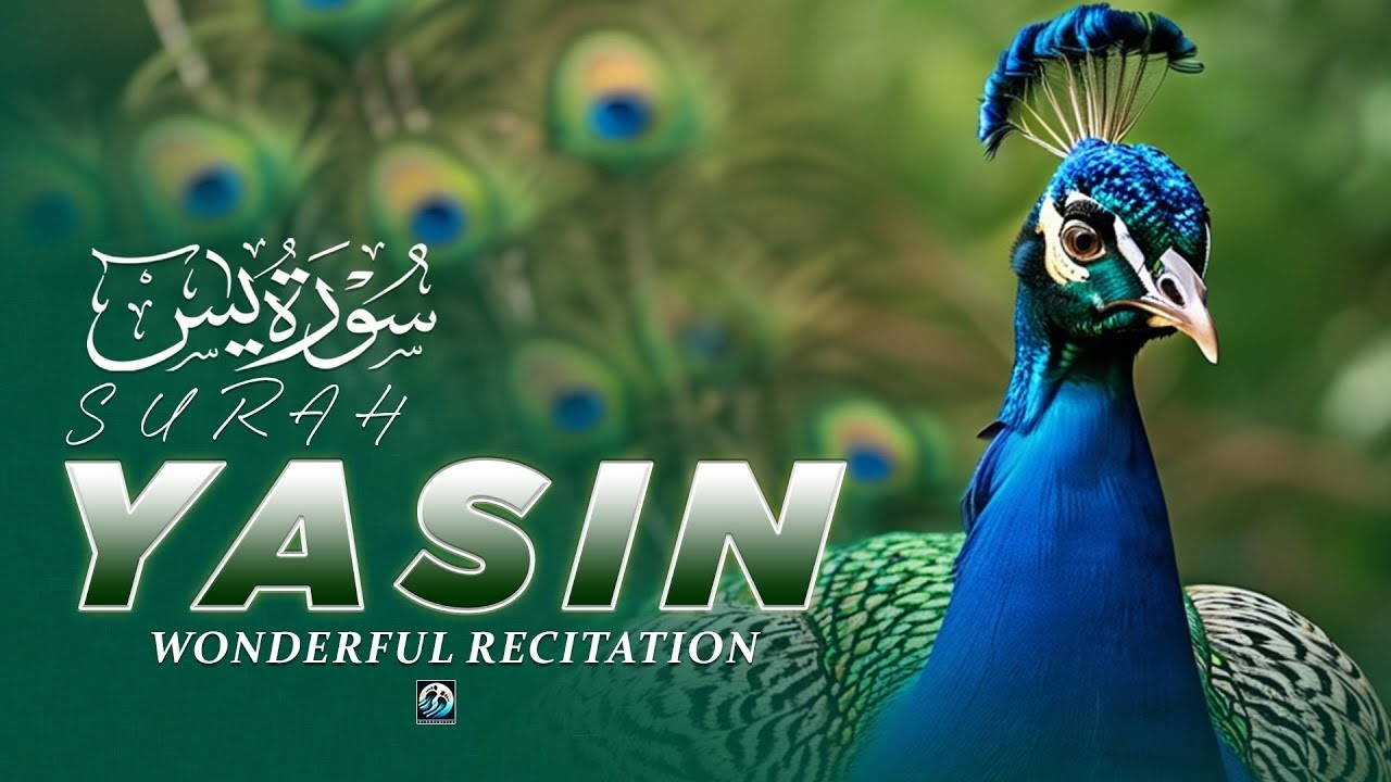Surah Yasin (Yaseen) Full 🕌 Beautiful Quran 🕌 Dua Blessing Rizq & Wealth | Powerful Islamic Dhikr