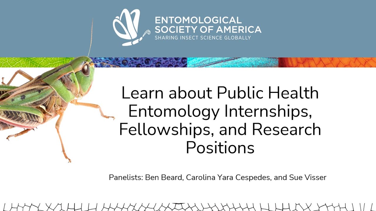 Learn about Public Health Entomology Internships, Fellowships, and Research Positions