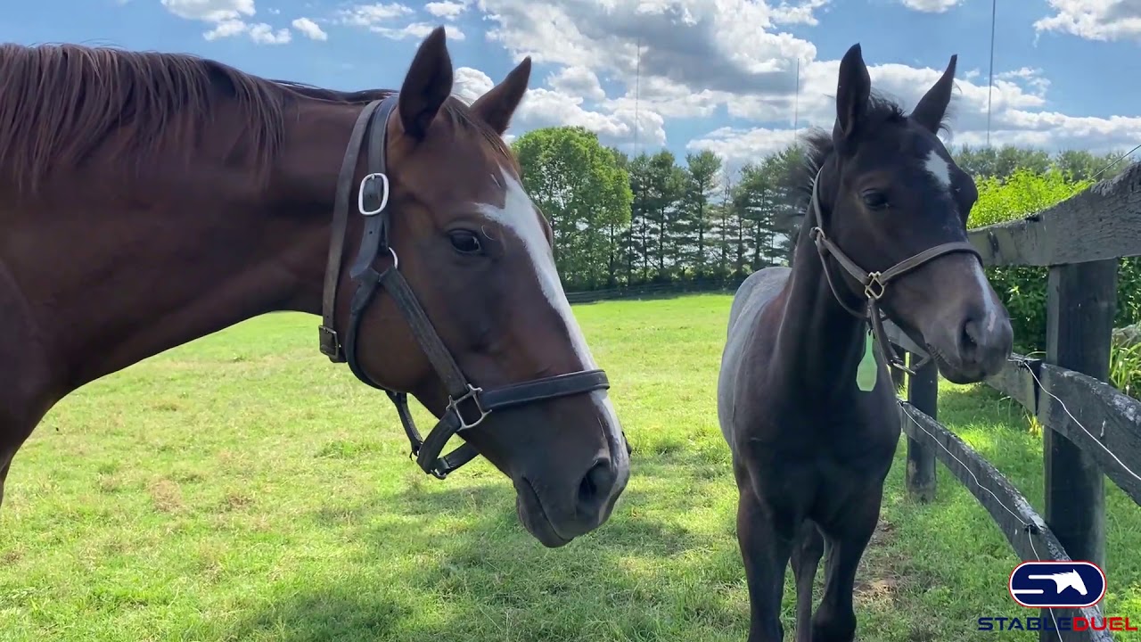 Farm Happy Hour at Hill 'n' Dale Farm