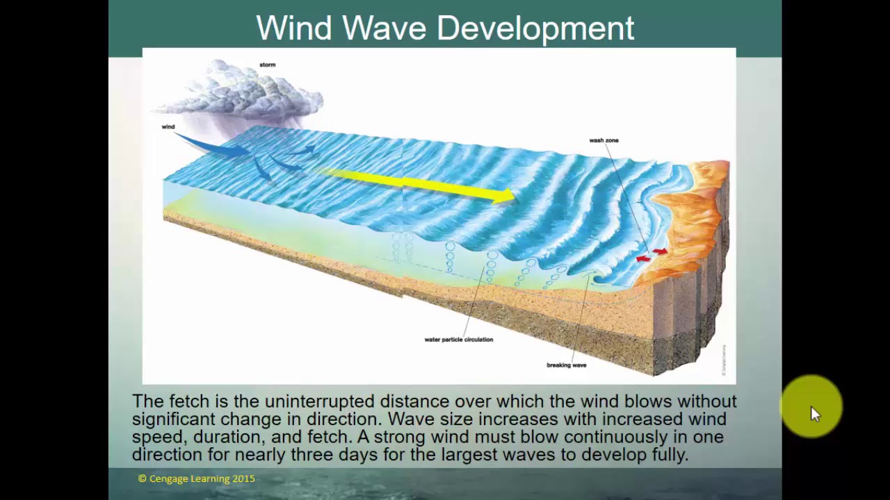 OCE 1001 Lecture: Waves & Tides