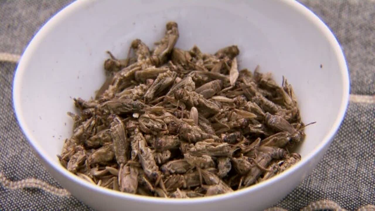 Johan S&ouml;rberg bakar br&ouml;d med insekter i - Hela Sverige Bakar (TV4)
