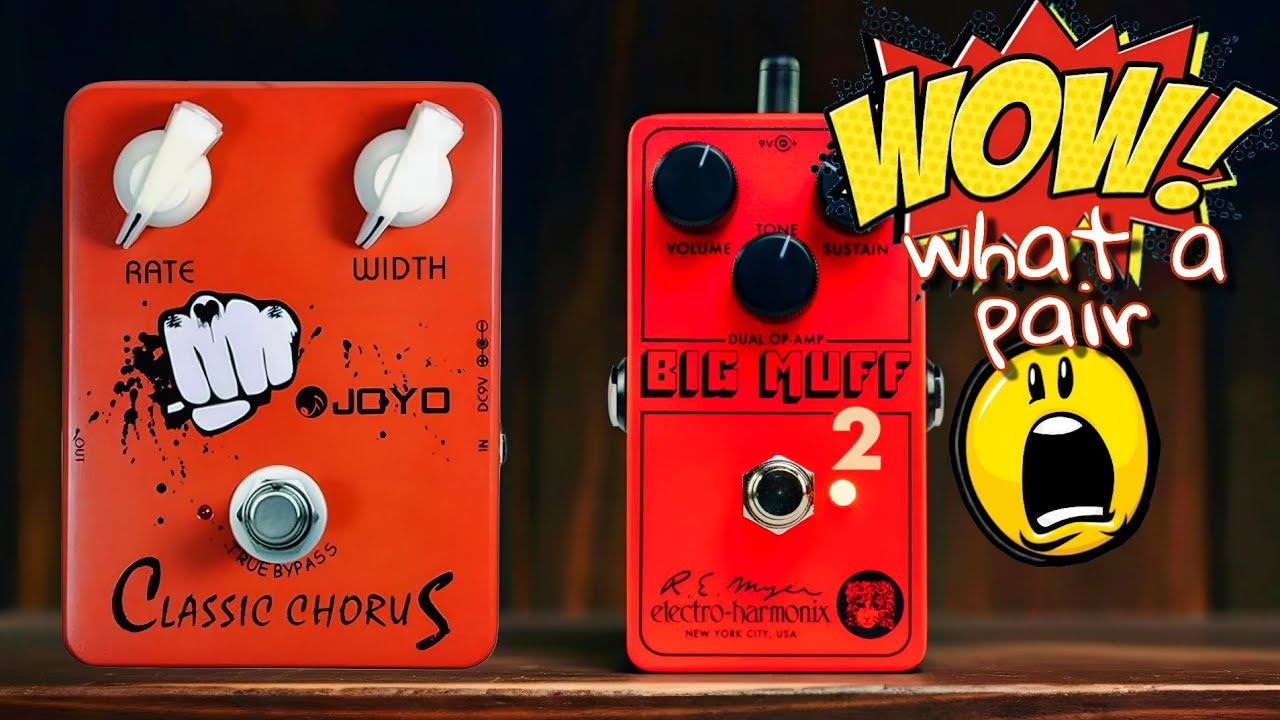 Quite the pair of "RED HEADS"???😯😯